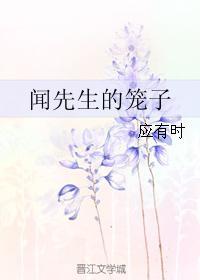 闻先生的笼子封面
