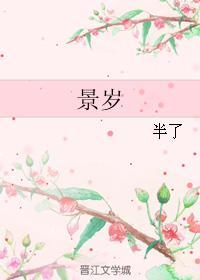 景岁封面
