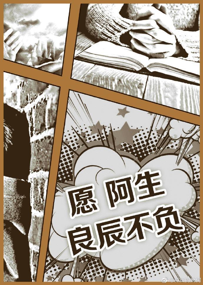 愿阿生良辰不负封面
