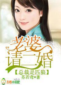 老婆，请再嫁一次封面