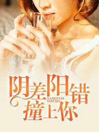 阴差阳错撞上你封面