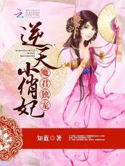 魔君独宠：逆天小俏妃封面