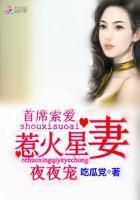 总裁霸爱：星妻，好惹火封面