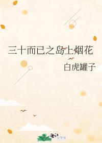 三十而已之岛上烟花封面