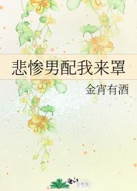 悲惨男配我来罩封面