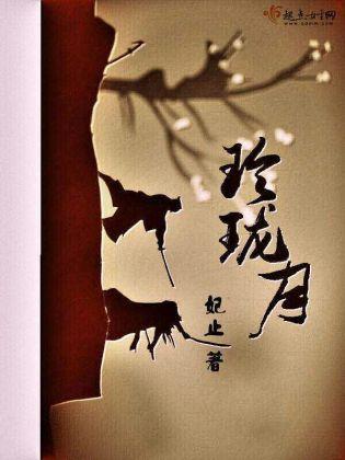 玲珑月封面