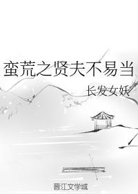 蛮荒之贤夫不易当封面