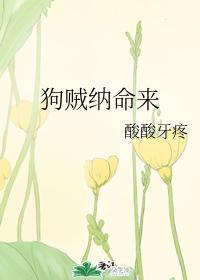 狗贼纳命来封面
