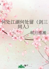 何处江湖何处留封面