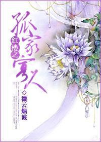 红楼之孤家寡人封面
