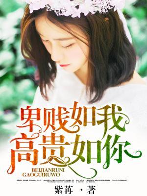卑贱如我，高贵如你封面