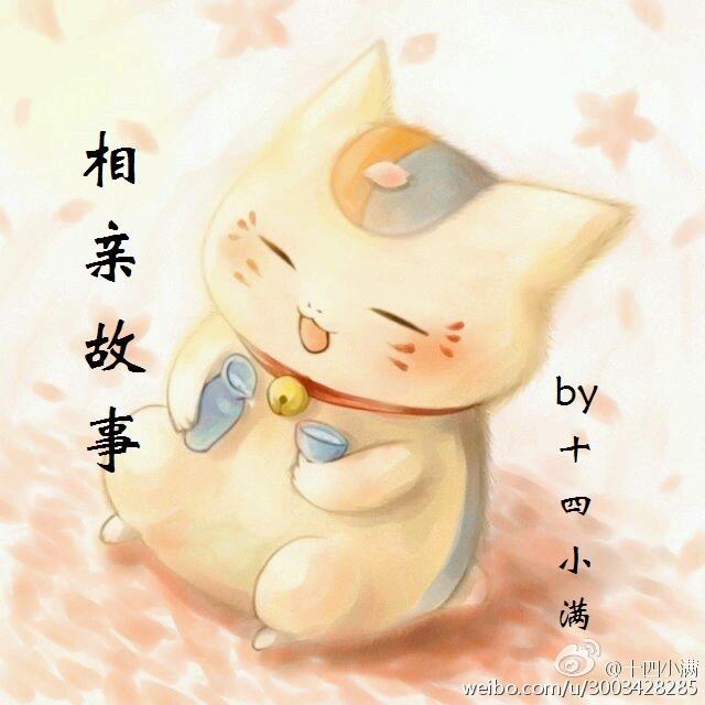 相亲故事封面