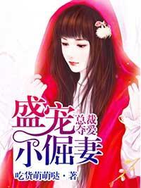 总裁夺爱：盛宠小倔妻封面
