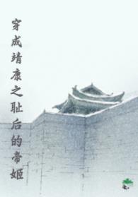 穿成靖康之耻后的帝姬封面