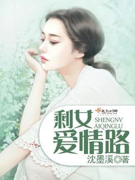 剩女爱情路封面