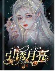 引诱月亮封面