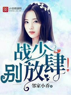 战少，别放肆！封面