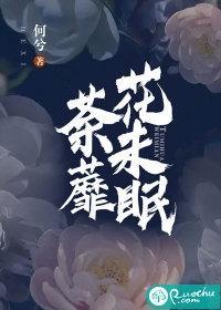荼蘼花未眠封面