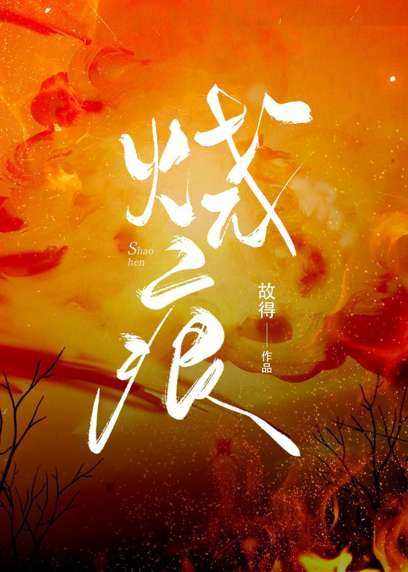 烧痕封面