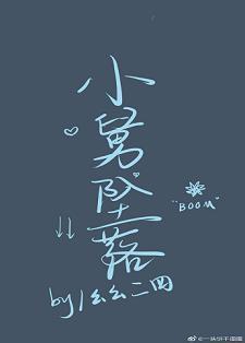 小舅坠落封面