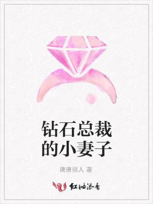 钻石总裁的小妻子封面