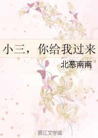 小三，你给我过来封面