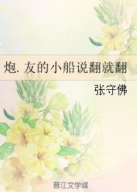 炮.友的小船说翻就翻封面