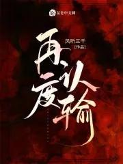 再度认输封面