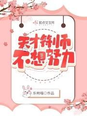 天才符师不想努力封面