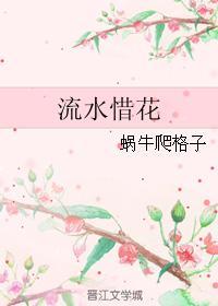 流水惜花封面