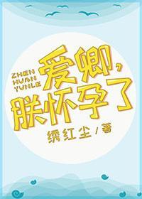 爱卿，朕怀孕了封面