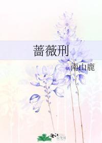 蔷薇刑封面