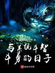 与系统斗智斗勇的日子封面