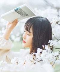 总裁的麻辣小娇妻封面
