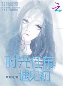 时光任苒遇见初封面