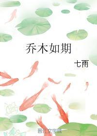乔木如期封面