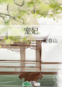 宠妃封面