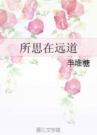 所思在远道封面