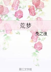 荒梦封面