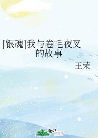 [银魂]我与卷毛夜叉的故事封面