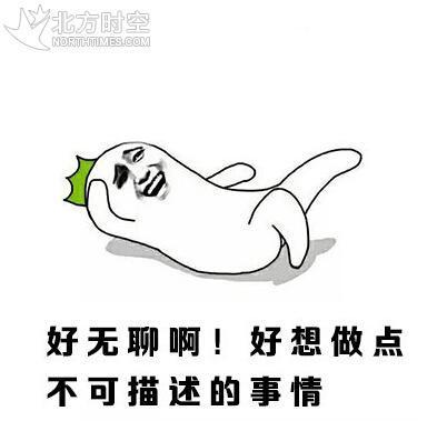 渣受系统（快穿）封面