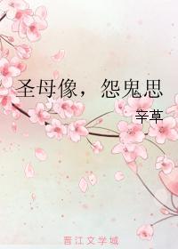 圣母像，怨鬼思封面