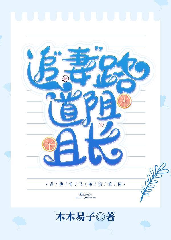 追“妻”路道阻且长封面