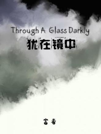 犹在镜中封面