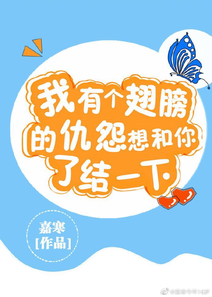 气，我翅膀破了！封面