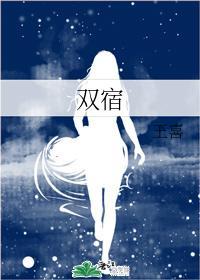 双宿封面