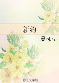 新约封面