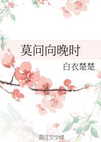 莫问向晚时封面