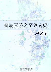 御宸天骄之至尊玄虎封面