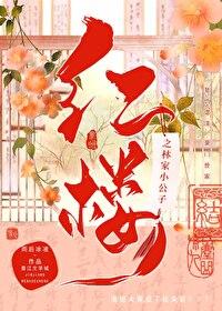 红楼之林家小公子封面